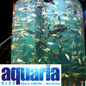 Aquaria KLCC Kuala Lumpur fishes