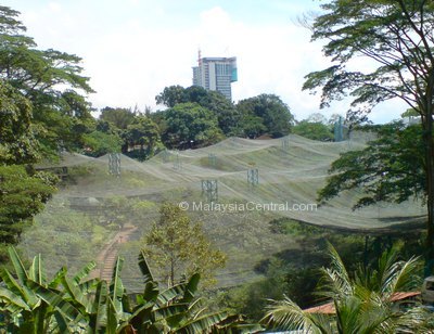 Kuala Lumpur bird park worlds largest free flying bird aviary net